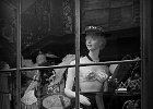 French Antiques by Rebecca Nex